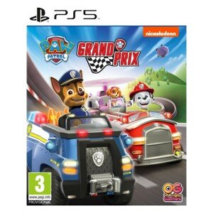 Paw Patrol: Grand Prix (PS5)
