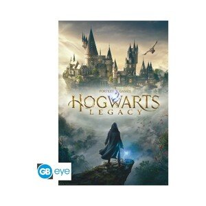 Plakát Harry Potter - Hogwarts Legacy