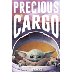 Plakát Star Wars: The Mandalorian - Precious Cargo (249)