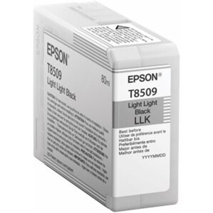 Epson T850900, (80ml), light light black - C13T850900