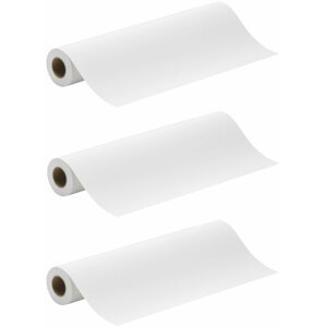 Canon Roll Paper Standard CAD 80g, 24" (610mm), 50m, 3 role - 1569B007