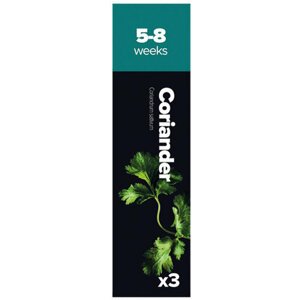 Plantui Coriander, 3 kapsle, koriandr setý - H006
