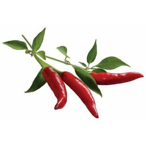 Click and Grow Smart Garden sazenice Chili papričky - SGCH