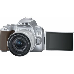 Canon EOS 250D + 18-55mm IS STM, stříbrná - 3461C001