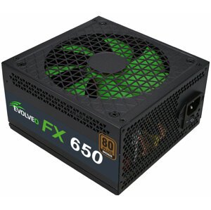 Evolveo FX 650 - 650W, bulk - FX650