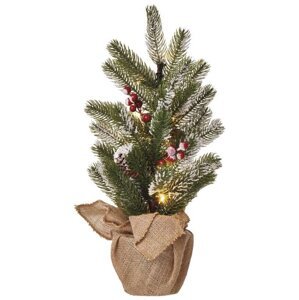 Emos LED vánoční stromek zasněžený, 52 cm, 3x AA, vnitřní, teplá bílá, časovač - DCTW04