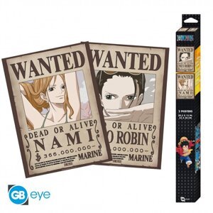 Plakát One Piece - Nami & Robin, 2 ks (52x38) - GBYDCO568