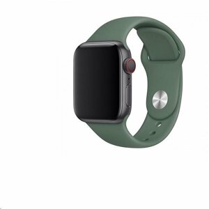 COTEetCI silikonový řemínek pro Apple Watch, 38/40/41 mm, zelená - CS2085-GN