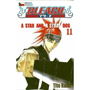 Komiks Bleach - A Star and a Stray Dog, 11.díl, manga - 09788074492303