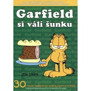 Komiks Garfield si válí šunku, 30.díl - 9788087083956