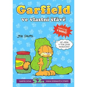 Komiks Garfield ve vlastní šťávě, 52.díl - 9788074496806
