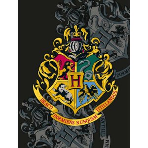 Deka Harry Potter - Bradavice (černá) - 05902729049207