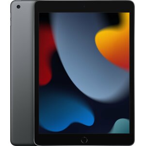 Apple iPad 2021, 256GB, Wi-Fi, Space Gray - MK2N3FD/A