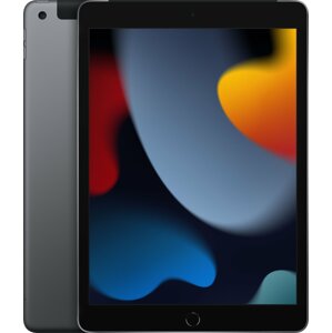 Apple iPad 2021, 256GB, Wi-Fi + Cellular, Space Gray - MK4E3FD/A