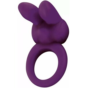 Kroužek Silicone Rabbit, vibrační, erekční, fialový 1 ks - KrouErekRS02