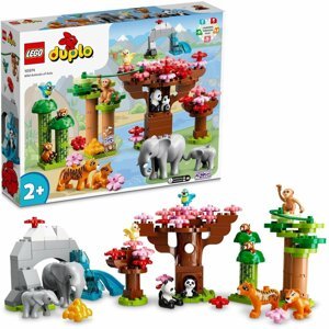 LEGO® DUPLO® 10974 Divoká zvířata Asie - 10974