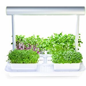 Microgreens by Leaf Learn Mini Starter Pack - PAML0012PL