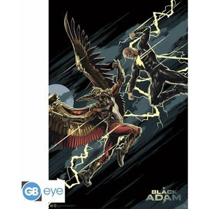 Plakát DC Comics - Black Adam vs Hawkman (91.5x61) - GBYDCO071