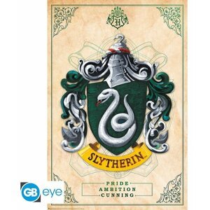 Plakát Harry Potter - Slytherin (91.5x61) - ABYDCO777
