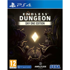 Endless Dungeon - Day One Edition (PS4) - 5055277050031