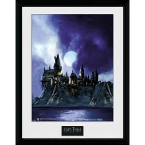 Obraz Harry Potter - Hogwarts Painted, zarámovaný (30x40) - PFC2234