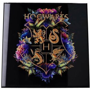 Obraz Harry Potter - Hogwarts Fine Oddities Crystal Clear Art Pictures (32x32) - 0801269143671