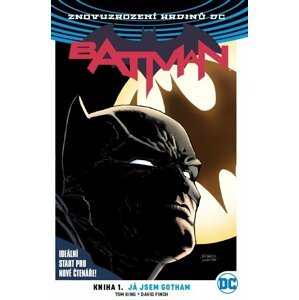 Komiks Batman 01: Já jsem Gotham - 9788074496127